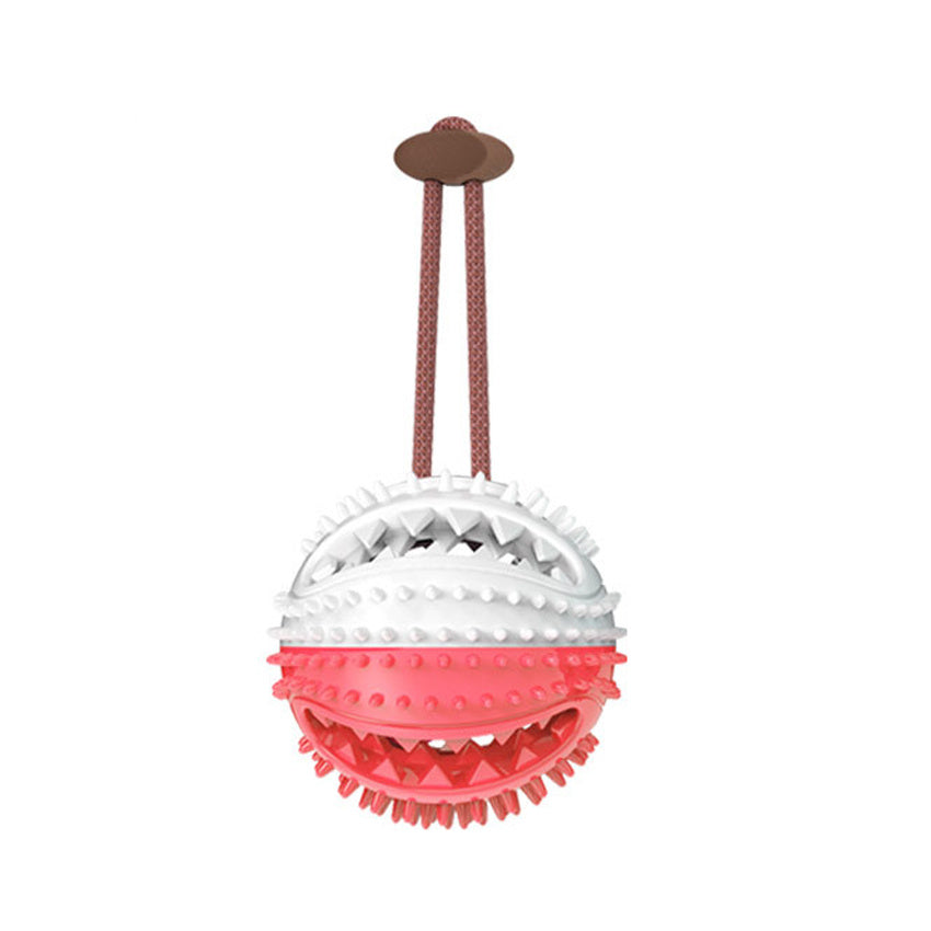 Interactive Suction Cup Toy