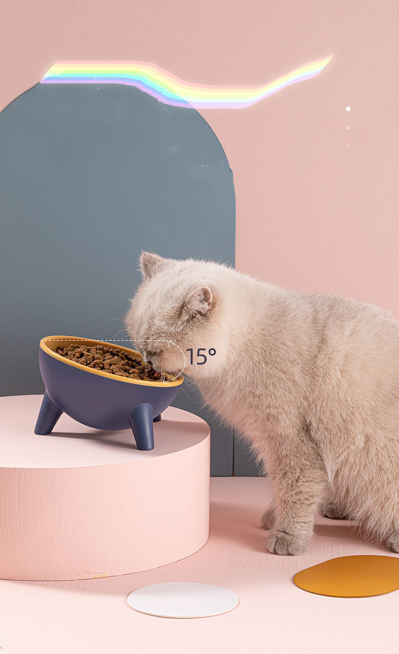 Elevated Cat Bowl