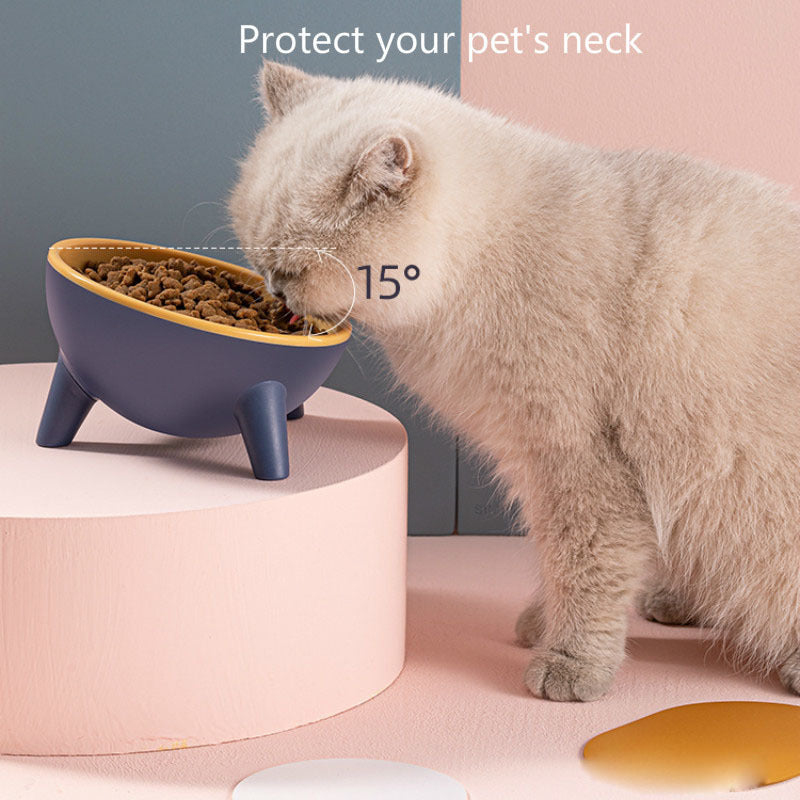 Elevated Cat Bowl
