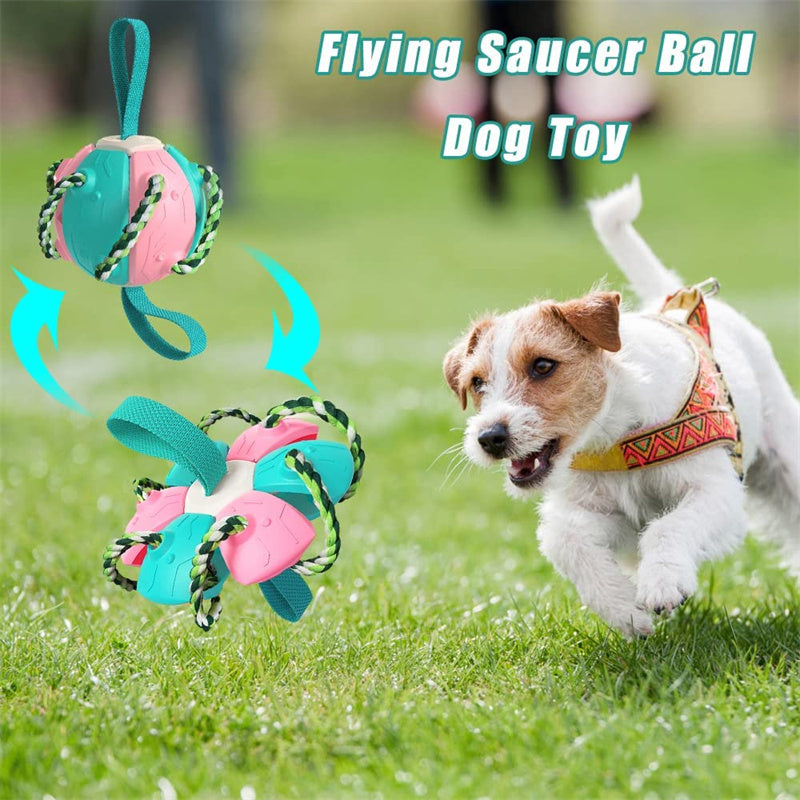 Interactive Soccer Ball