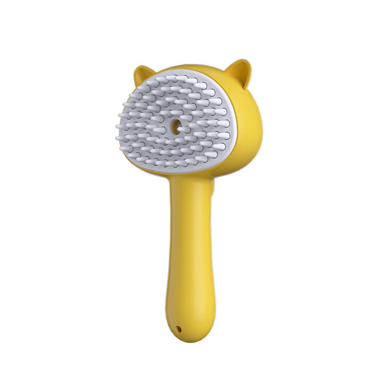 Rechargeable Mist Grooming Brush