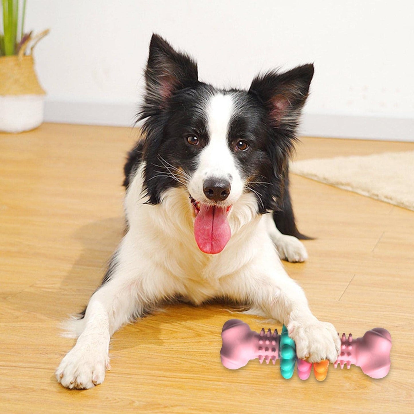 Indestructible Bone Toy
