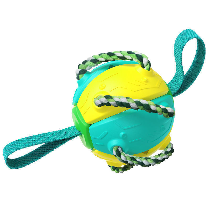 Interactive Soccer Ball