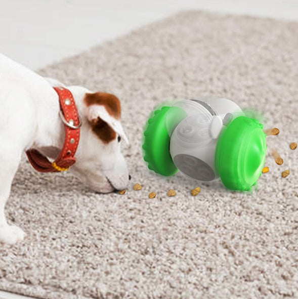 Interactive Balance Car Toy