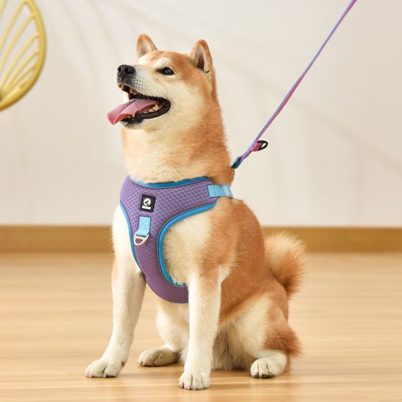 Adjustable Mesh Harness
