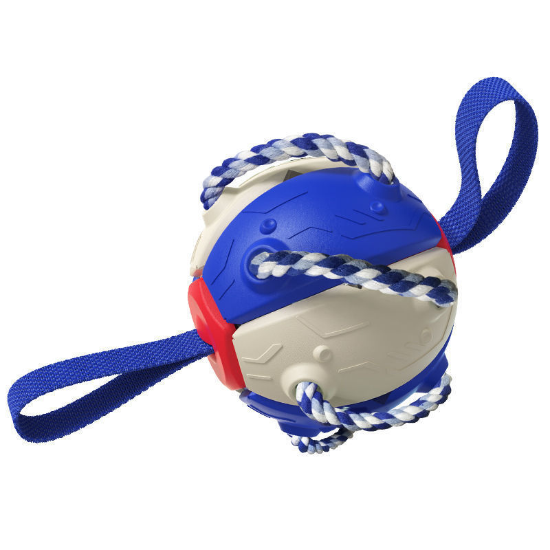 Interactive Soccer Ball