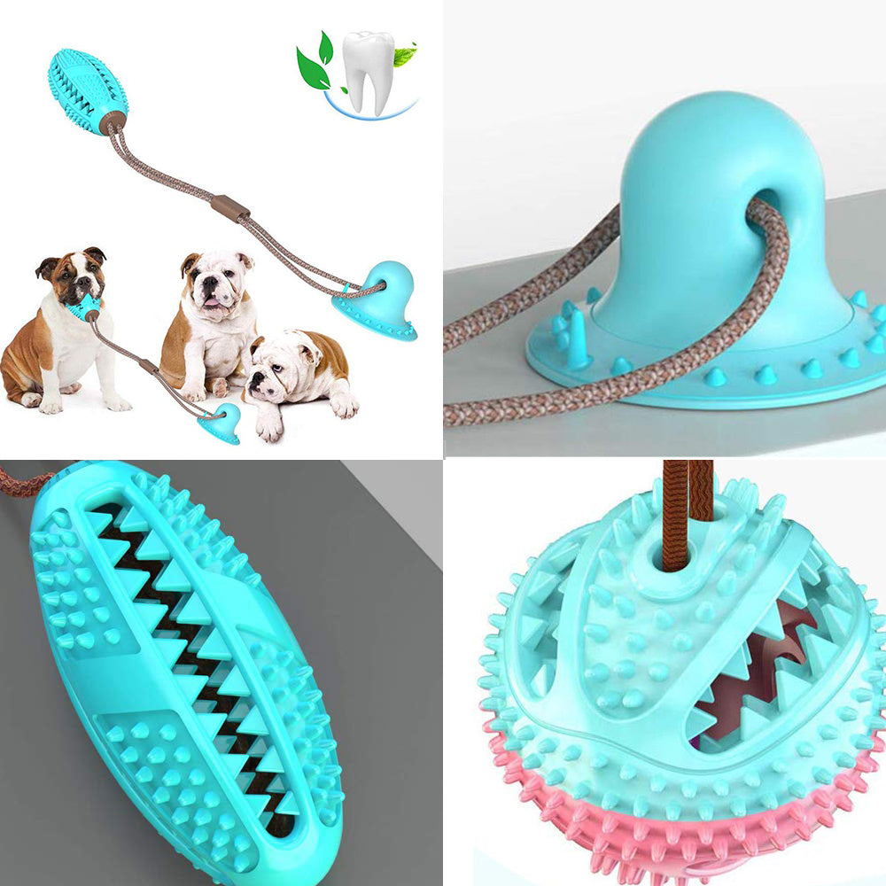 Interactive Suction Cup Toy