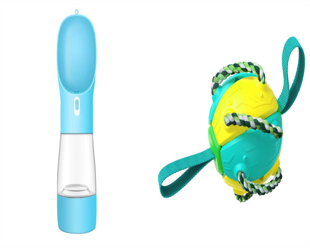 Interactive Soccer Ball
