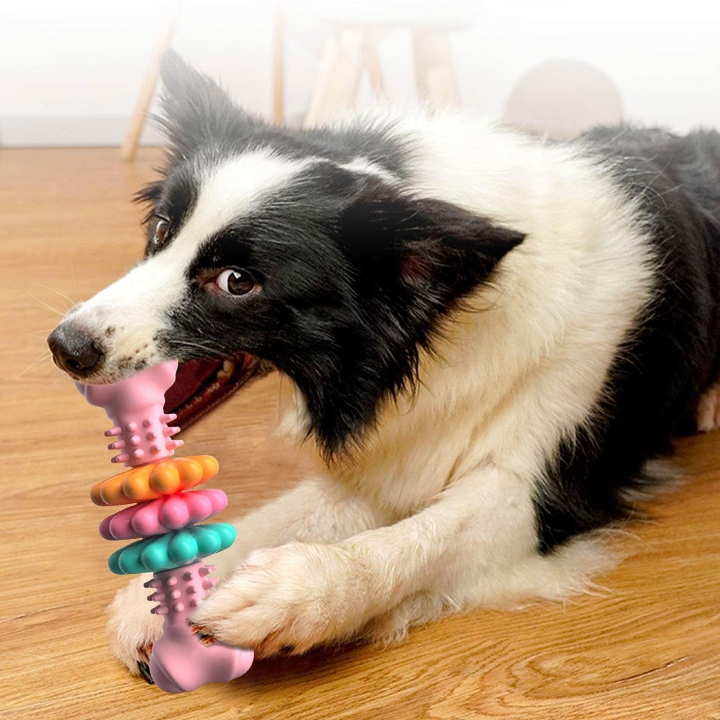 Indestructible Bone Toy