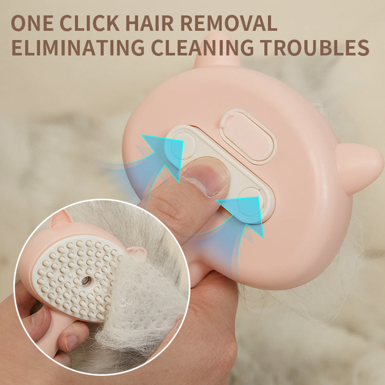 Rechargeable Mist Grooming Brush