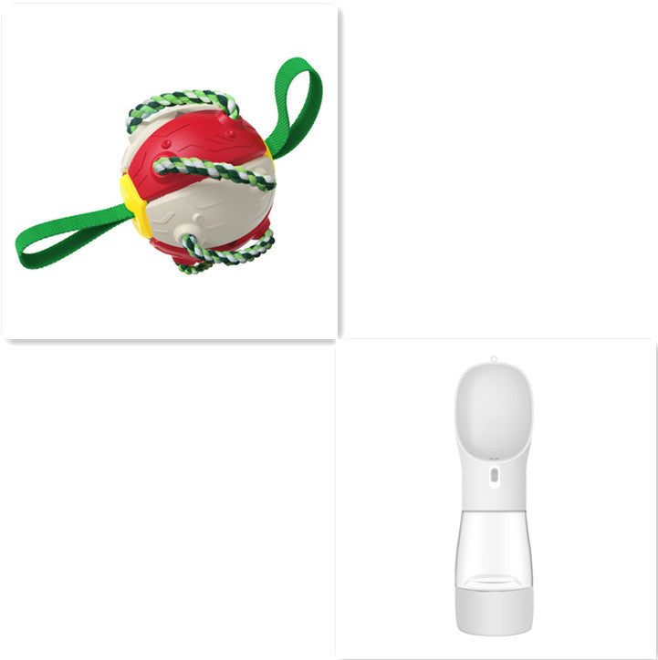 Interactive Soccer Ball