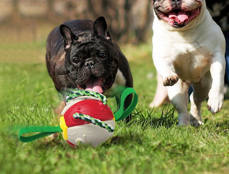 Interactive Soccer Ball