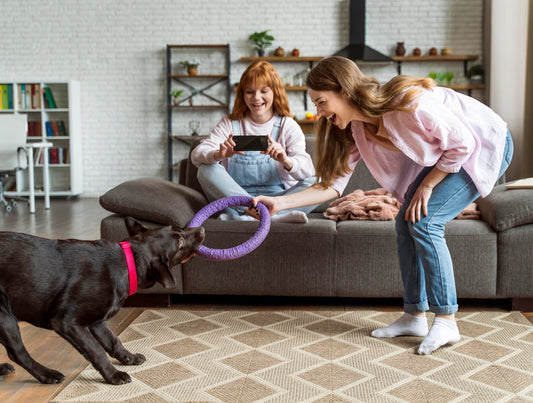 How to Choose the Perfect Toy for Your Dog’s Personality