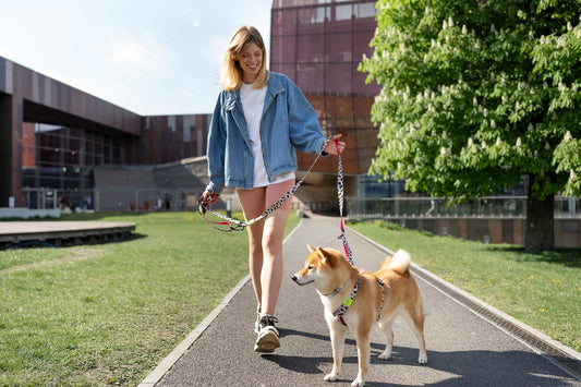 The Ultimate Guide to Walking Your Dog Safely