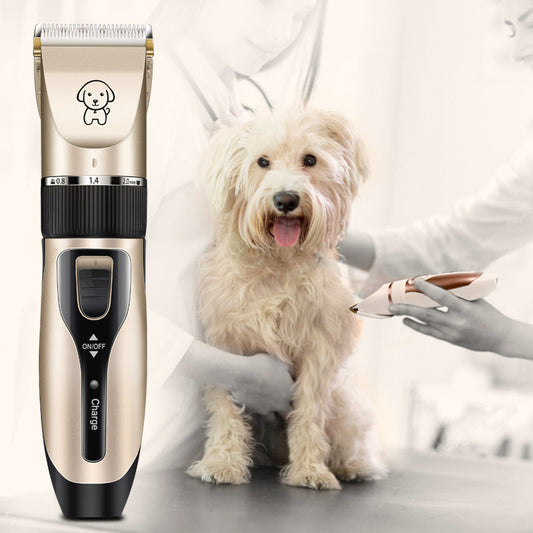 Professional Hair Clipper
