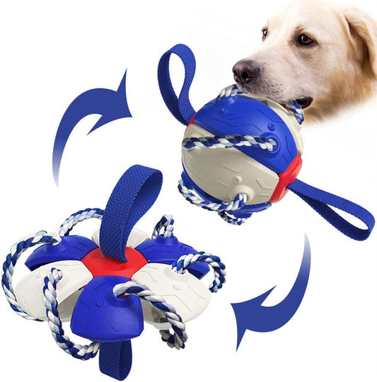 Interactive Soccer Ball