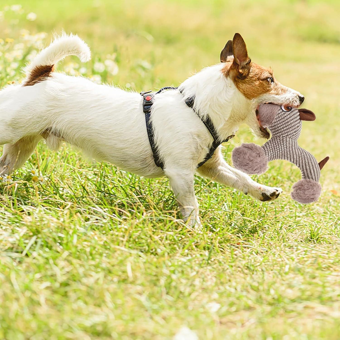 Large Dog Squeaky Toys Stuffed Animal Dog Plush Toy Dog Interactive Toy