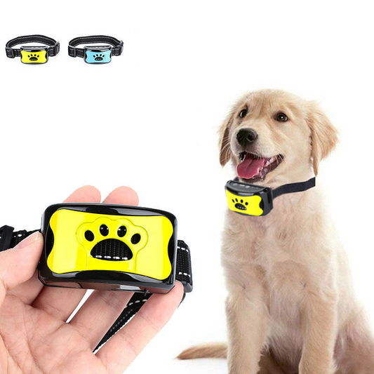 Rechargeable Waterproof Training Collar
