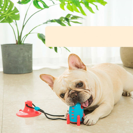 Rocket Food Toy