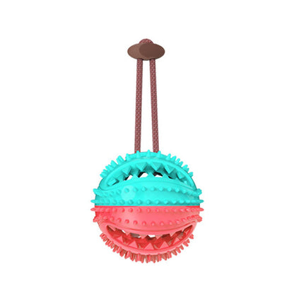 Interactive Suction Cup Toy