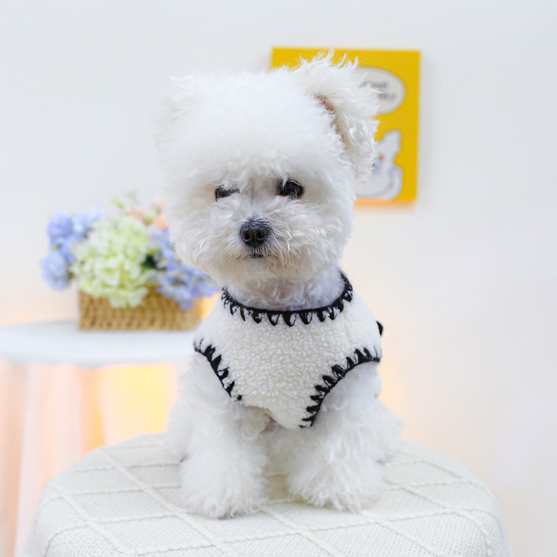 Factory Direct Supplyin Stock Pet Clothes Dog Cat Vest