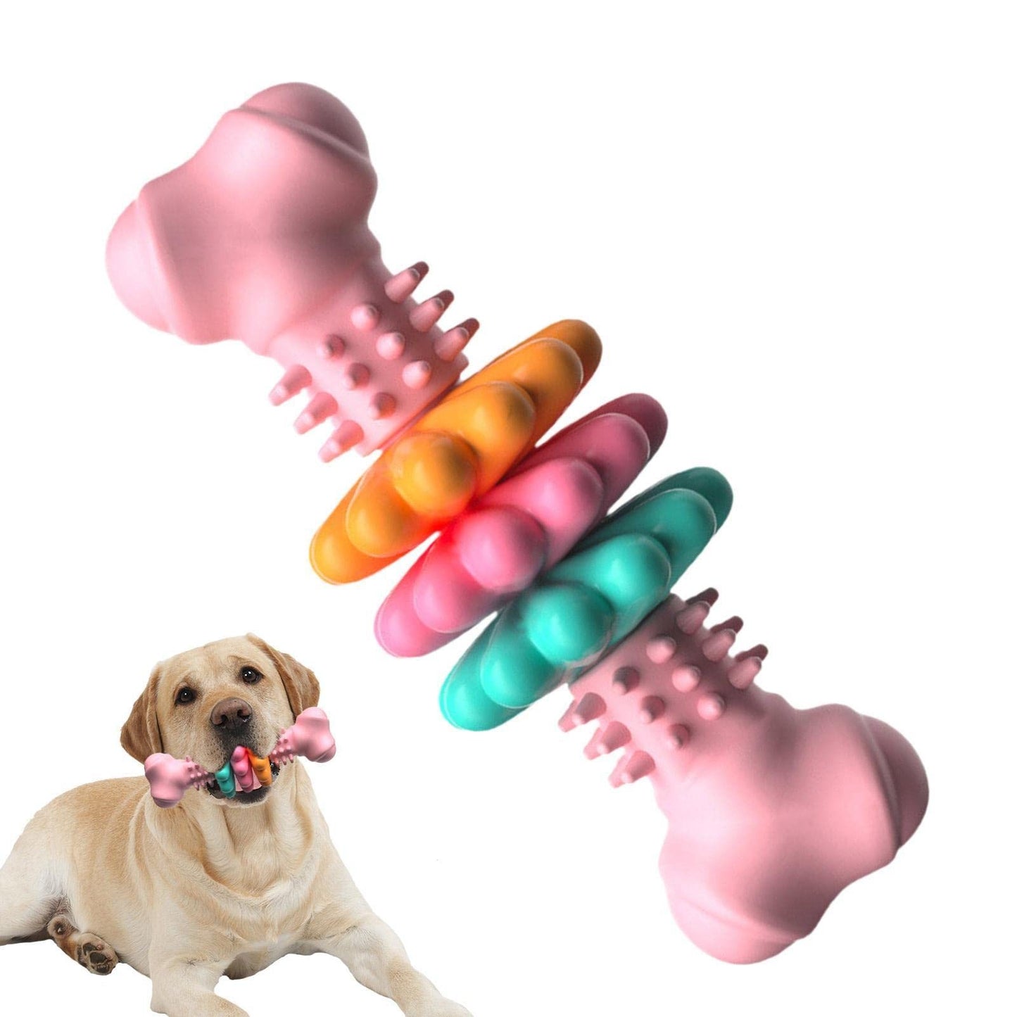 Indestructible Bone Toy