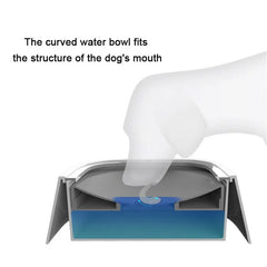 Floating Water Bowl for Dogs: Anti-Overflow