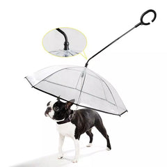 Pet Dog Transparent Umbrella Adjustable C-type Umbrella Pet Products With Dog Leash For Rain Walking