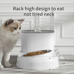 2-in-1 Cat Water Fountain: Automatic Drinker and Feeding Bowl