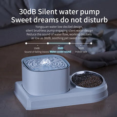 2-in-1 Cat Water Fountain: Automatic Drinker and Feeding Bowl