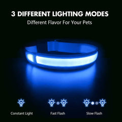 XS/M LED Dog Collar USB Rechargeable Light Up Dog Collar Lights Adjustable Soft Safety Night Light Flashing 3 modes Pet Supplies