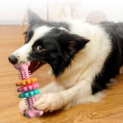 Indestructible Bone Toy