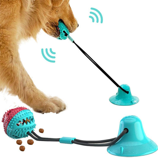 Interactive Suction Cup Toy