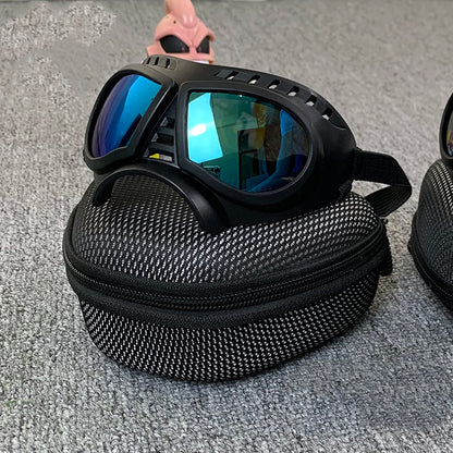 Windproof pet sunglasses for outdoor use