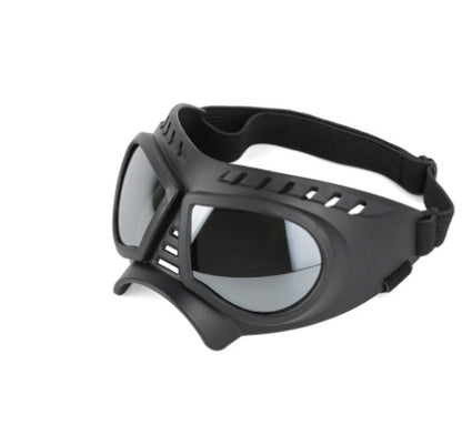 Windproof pet sunglasses for travel and riding