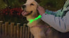 XS/M LED Dog Collar USB Rechargeable Light Up Dog Collar Lights Adjustable Soft Safety Night Light Flashing 3 modes Pet Supplies